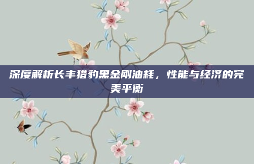 深度解析长丰猎豹黑金刚油耗，性能与经济的完美平衡