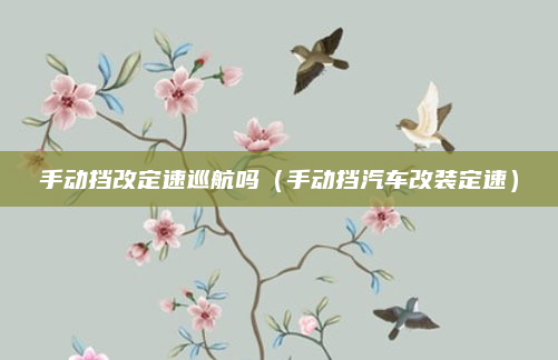 手动挡改定速巡航吗(手动挡汽车改装定速)