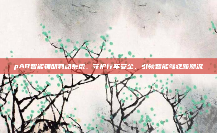pAB智能辅助制动系统,守护行车安全,引领智能驾驶新潮流