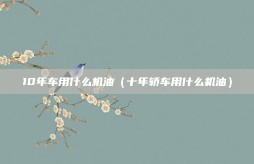 10年车用什么机油(十年轿车用什么机油)
