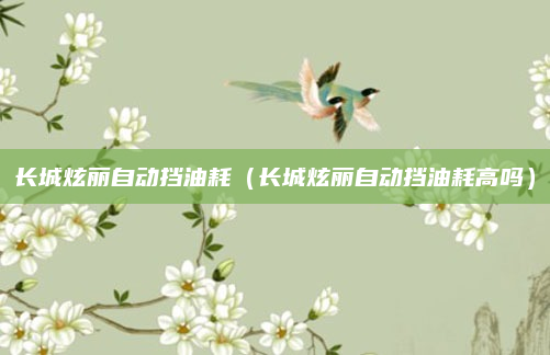 长城炫丽自动挡油耗(长城炫丽自动挡油耗高吗)