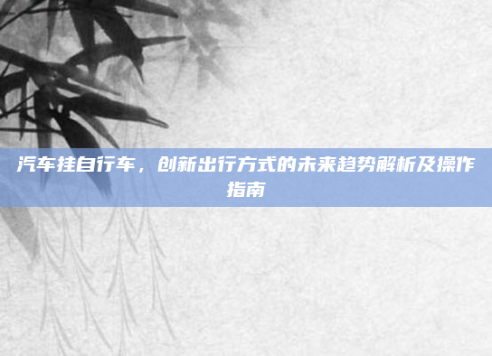 汽车挂自行车,创新出行方式的未来趋势解析及操作指南