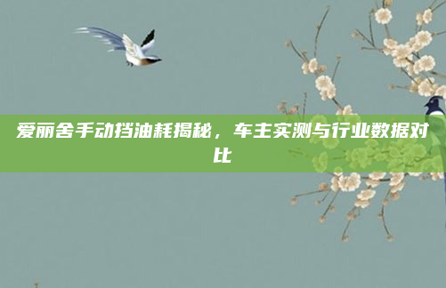爱丽舍手动挡油耗揭秘,车主实测与行业数据对比