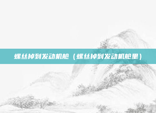螺丝掉到发动机舱（螺丝掉到发动机舱里）