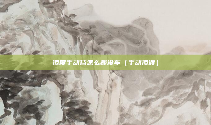 凌度手动挡怎么都没车(手动凌渡)