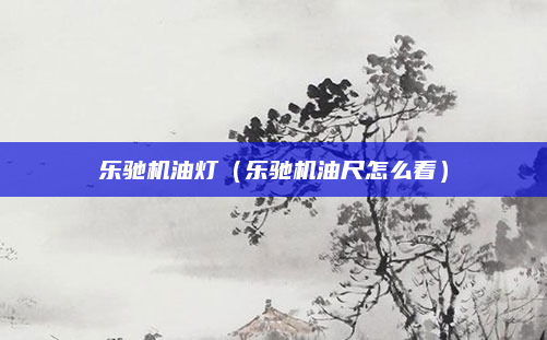 乐驰机油灯(乐驰机油尺怎么看)
