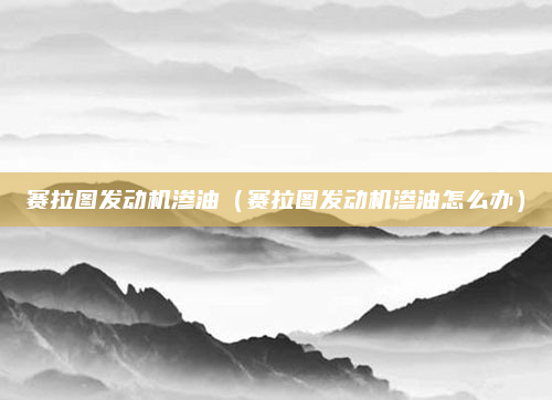 赛拉图发动机渗油(赛拉图发动机渗油怎么办)