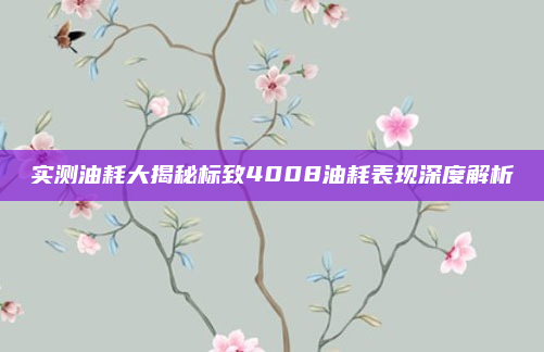 实测油耗大揭秘标致4008油耗表现深度解析