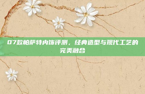07款帕萨特内饰评测，经典造型与现代工艺的完美融合