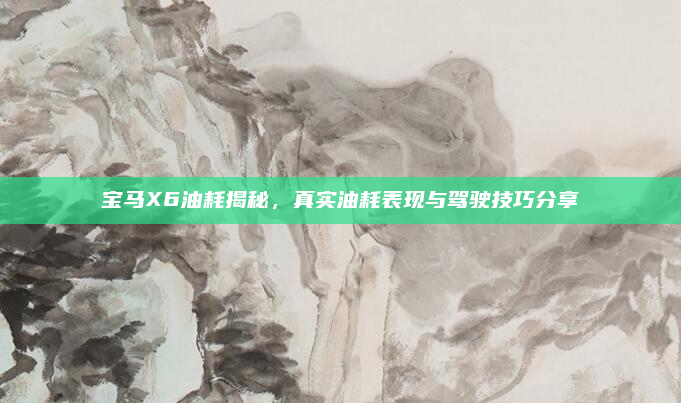 宝马X6油耗揭秘，真实油耗表现与驾驶技巧分享