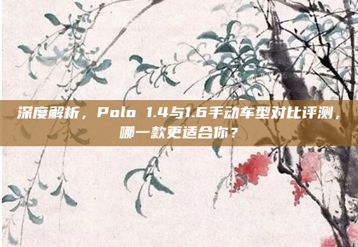深度解析，Polo 1.4与1.6手动车型对比评测，哪一款更适合你？