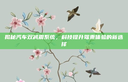 揭秘汽车双减震系统，科技提升驾乘体验的新选择
