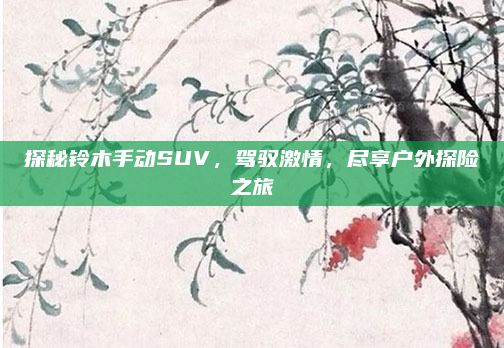 探秘铃木手动SUV，驾驭激情，尽享户外探险之旅