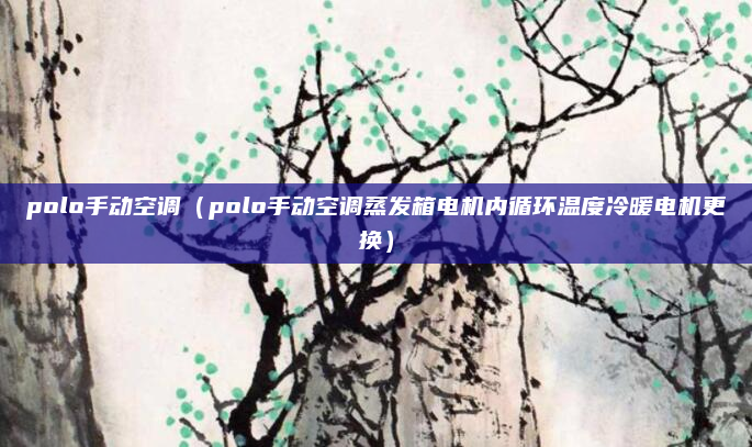 polo手动空调(polo手动空调蒸发箱电机内循环温度冷暖电机更换)