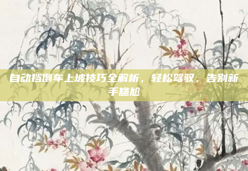 自动挡倒车上坡技巧全解析，轻松驾驭，告别新手尴尬