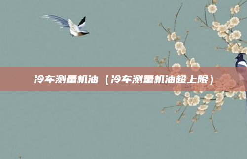 冷车测量机油（冷车测量机油超上限）