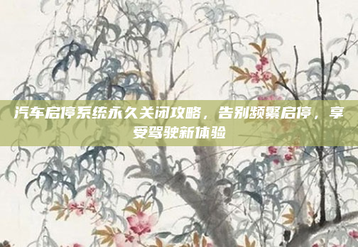 汽车启停系统永久关闭攻略，告别频繁启停，享受驾驶新体验