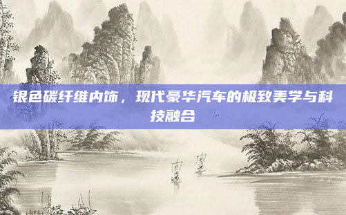 银色碳纤维内饰，现代豪华汽车的极致美学与科技融合