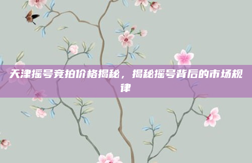 天津摇号竞拍价格揭秘，揭秘摇号背后的市场规律