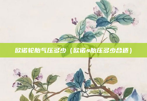 欧诺轮胎气压多少(欧诺s胎压多少合适)