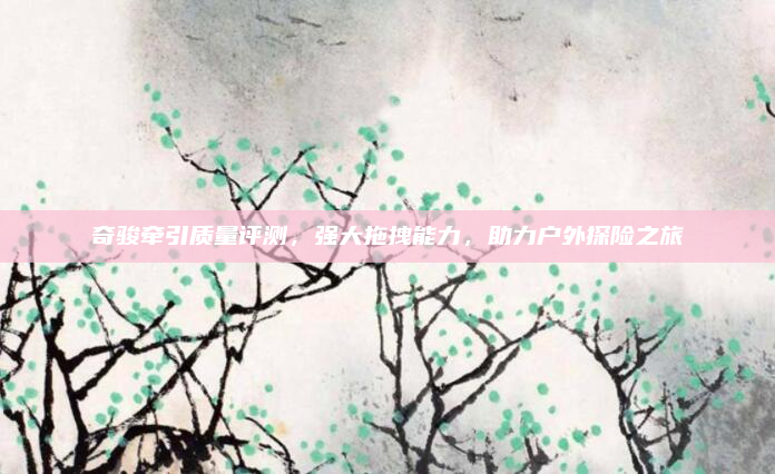 奇骏牵引质量评测，强大拖拽能力，助力户外探险之旅
