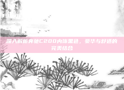 深入解析奔驰C200内饰黑色，豪华与舒适的完美结合