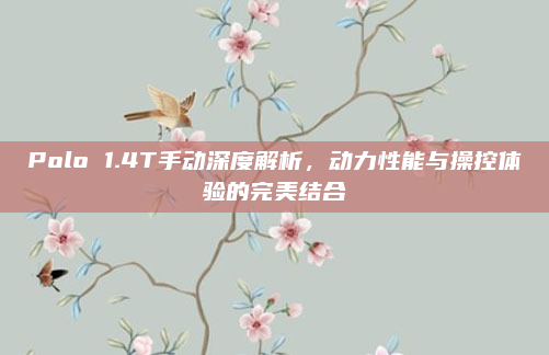 Polo 1.4T手动深度解析，动力性能与操控体验的完美结合