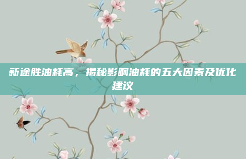 新途胜油耗高,揭秘影响油耗的五大因素及优化建议