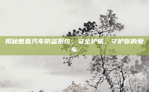 揭秘世嘉汽车防盗系统，安全护航，守护你的爱车