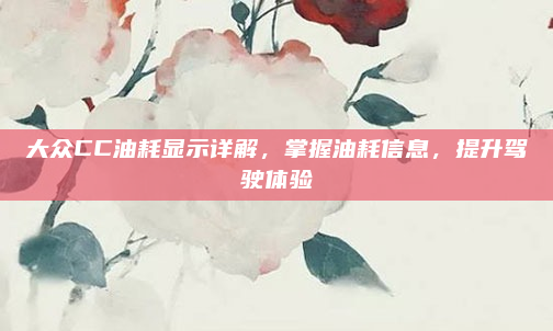 大众CC油耗显示详解，掌握油耗信息，提升驾驶体验
