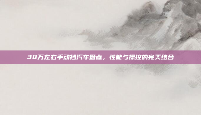 30万左右手动挡汽车盘点，性能与操控的完美结合