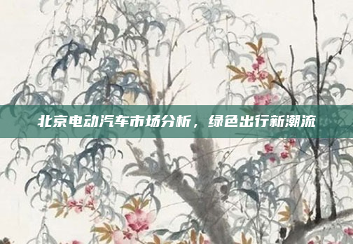 北京电动汽车市场分析,绿色出行新潮流