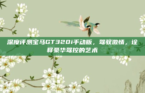 深度评测宝马GT320i手动版，驾驭激情，诠释豪华驾控的艺术