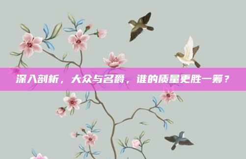 深入剖析,大众与名爵,谁的质量更胜一筹?