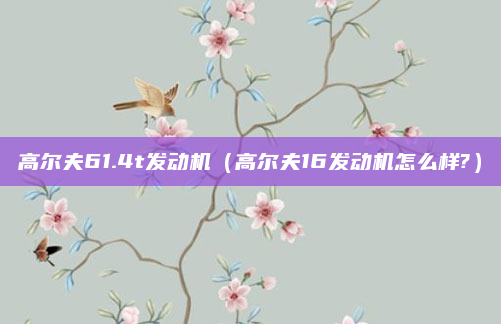 高尔夫61.4t发动机（高尔夫16发动机怎么样?）