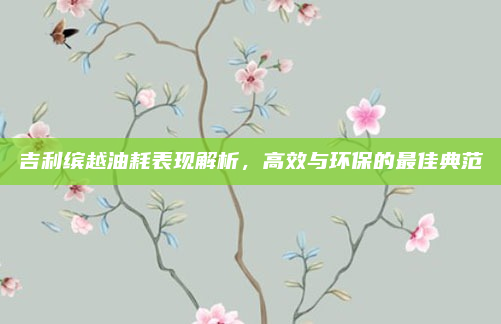 吉利缤越油耗表现解析,高效与环保的最佳典范