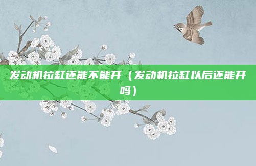 发动机拉缸还能不能开（发动机拉缸以后还能开吗）