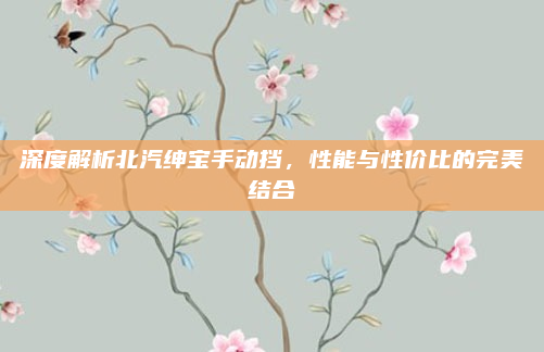 深度解析北汽绅宝手动挡，性能与性价比的完美结合