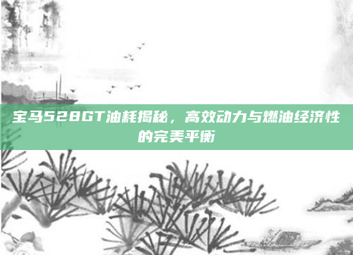 宝马528GT油耗揭秘，高效动力与燃油经济性的完美平衡