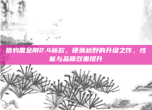 猎豹黑金刚2.4新款，硬派越野的升级之作，性能与品质双重提升