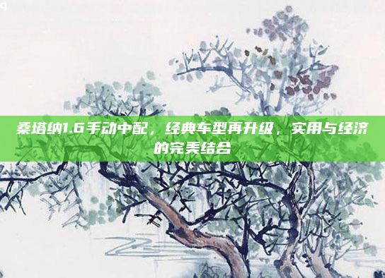桑塔纳1.6手动中配，经典车型再升级，实用与经济的完美结合