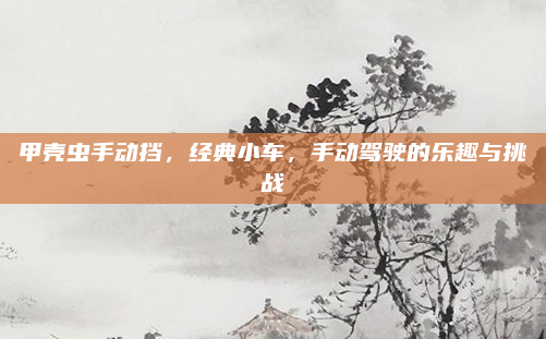 甲壳虫手动挡,经典小车,手动驾驶的乐趣与挑战