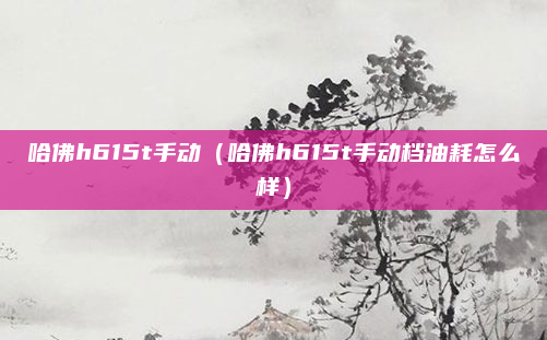 哈佛h615t手动(哈佛h615t手动档油耗怎么样)