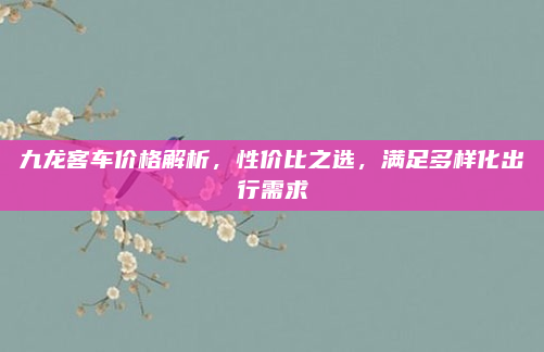 九龙客车价格解析,性价比之选,满足多样化出行需求