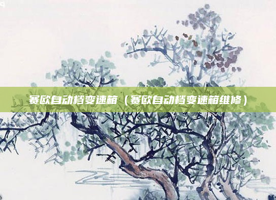 赛欧自动档变速箱（赛欧自动档变速箱维修）