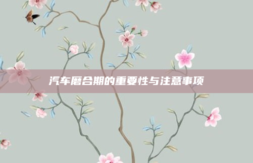 汽车磨合期的重要性与注意事项