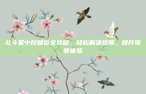 北斗星中控复位全攻略，轻松解决故障，提升驾驶体验