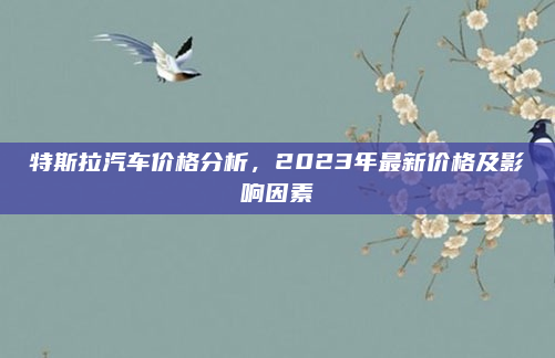 特斯拉汽车价格分析，2023年最新价格及影响因素