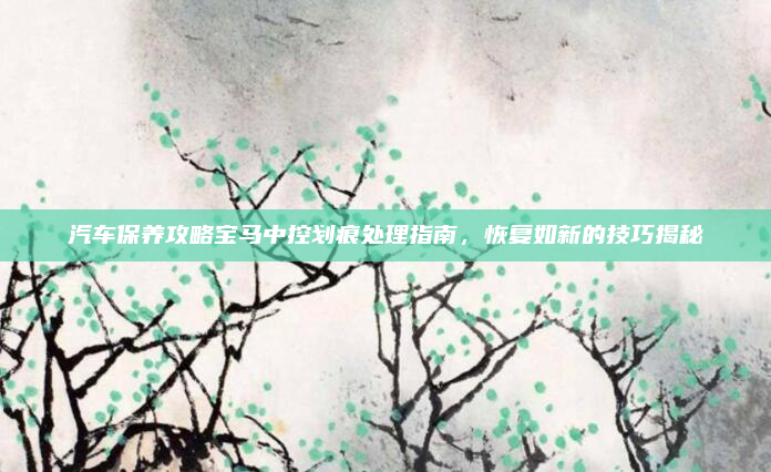 汽车保养攻略宝马中控划痕处理指南,恢复如新的技巧揭秘