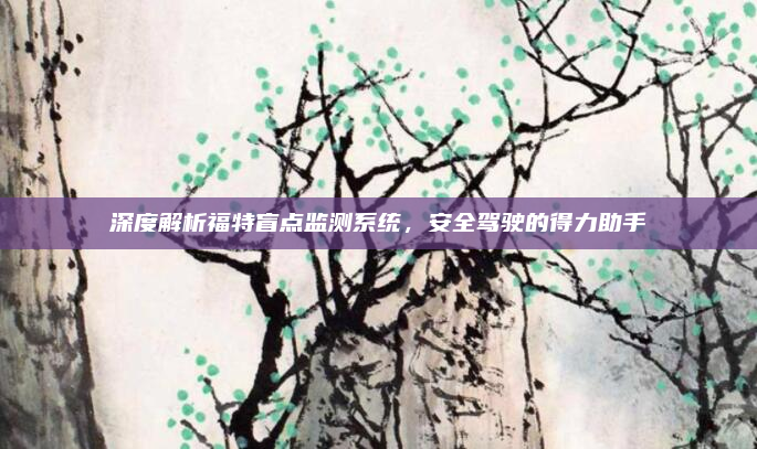 深度解析福特盲点监测系统，安全驾驶的得力助手